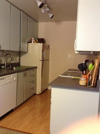 Sublet 1 Nice br. Apartment in Mountain View, Dec 20 - Jan 6 2