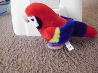 baby soft toys($1 each) and jacket ($5) 3
