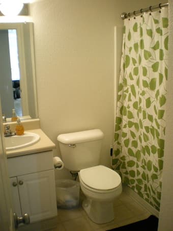 Sunny Room in a Friendly Apartment - $860-$900/mo in Mountain View 3