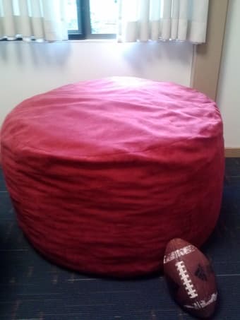 Large Red Plush Beanbag 1