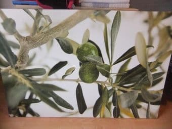 Ikea Framed Photo - Olives / Leaves - $20 1
