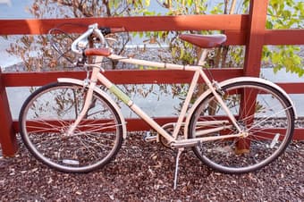 2012 Raleigh Classic Roadster 57cm 1