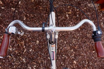 2012 Raleigh Classic Roadster 57cm 3