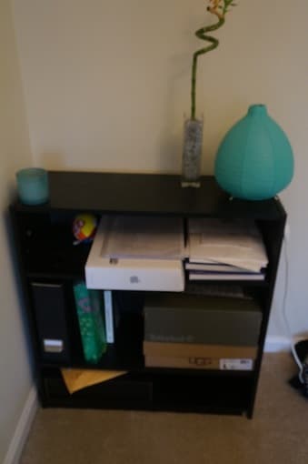 Book case: $10 1