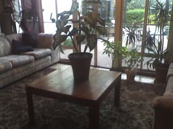 coffee table and ornamentas plant 1