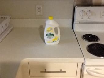 PALMOLIVE ECO DISHWASHING FLUID $2 1