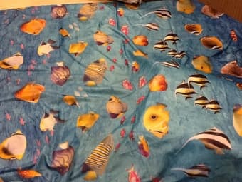 SHOWER CURTAIN $5 1
