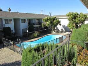 sharing a big 1br apartment at sunnyvale/mountain view border 1