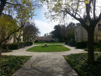 $1100 1BD Sublet 6/15-9/15 on Stanford Campus (palo alto) 1