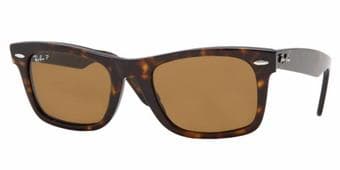 ~~~~~~~~~~~~~~~~~~~~~~~Ray Ban Sunglasses & Louie~~~~~~~~~~~~~~~~~~~~~ 1