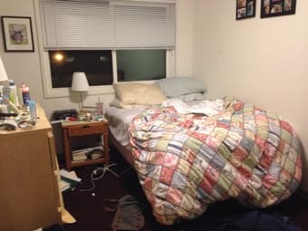 EV Summer Sublet June 15-Sept 15  $975/month 2