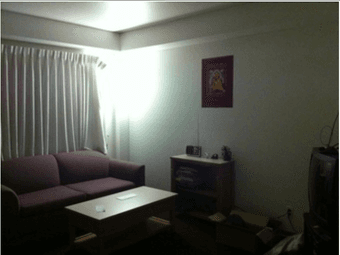 1BR Sublet on campus at $900/month 2