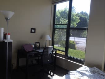 Large sunny Munger room for summer sublet 1
