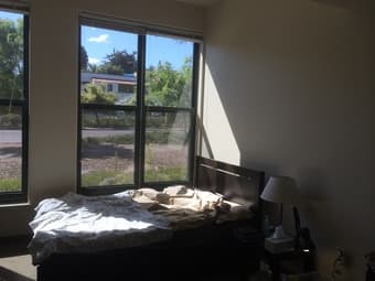 Large sunny Munger room for summer sublet 3