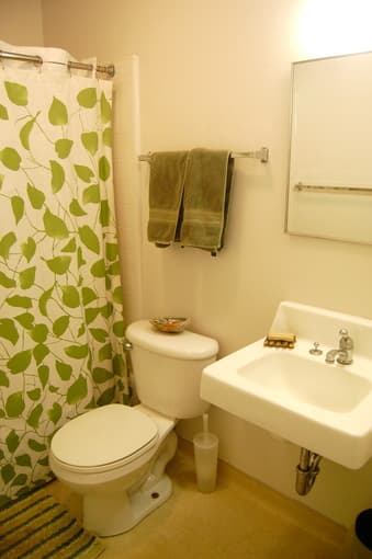 EV South Sublet 1 BR in 3 BR Apt – $876/mo. – May 9-June 28 3