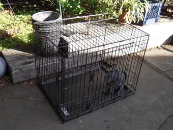 NEW!!   Four Paws K-9 Keeper Double Door Deluxe Folding Dog Crate  $49 1