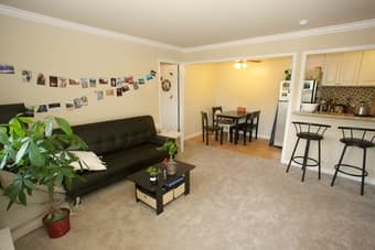 $230/week!!Cozy bedroom to share  Furnished in Mountain View 1
