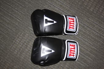 Title 16oz Boxing Gloves 1