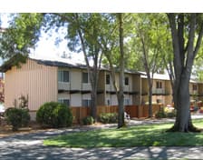 Summer Sublet at Stanford- $970 a month 1