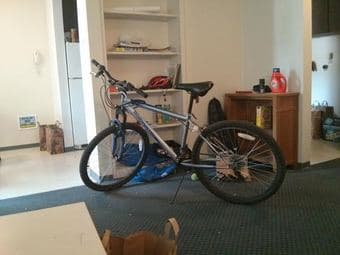 Bicycle for sale in summers 1