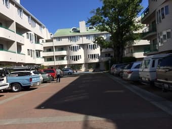 One bedroom Apt (near campus) available from June to September 3