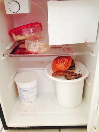 Kenmore Mini Fridge $65 OBO 2