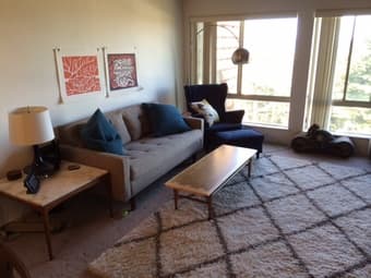 Summer Sublet 1 BR in San Francisco (6/26-9/2, dates flexible). 1