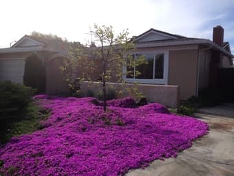An amazing single family house in a quiet, convenient Fremont location 3