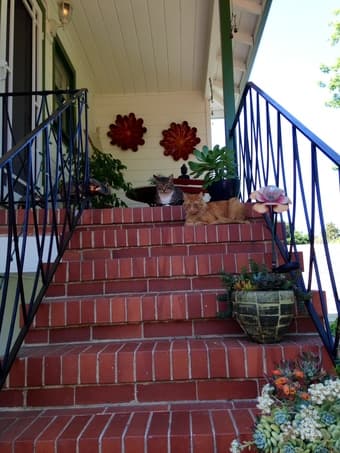 1BR for rent THIS WEEKEND! May 16-18 2