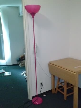 Pink Floor Lamp $45 1