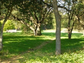 Studio Apartment on Stanford campus, available for Summer 2014 2