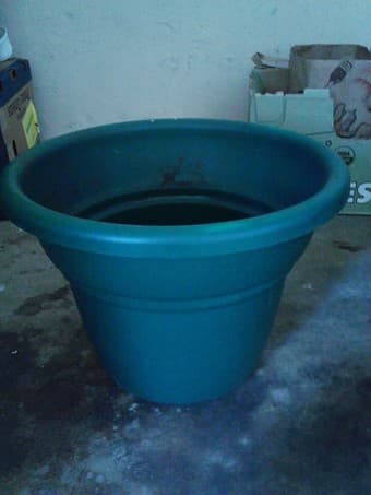 PLANT POT 5 gallon $7 1