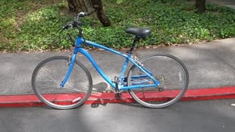 Schwinn Medium Campus Cruiser ($100) 1