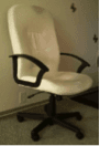 Swivel Chair --- $20 1