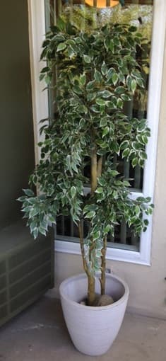 Artificial Plant 1