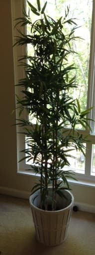 Artificial Plant 2