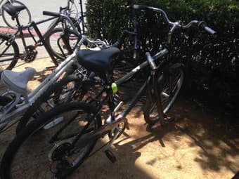 Schwinn Sierra 7 Men's Bicycle 2
