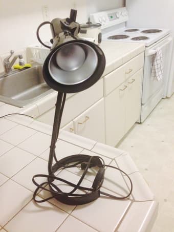SELLING: desk lamp $5 1