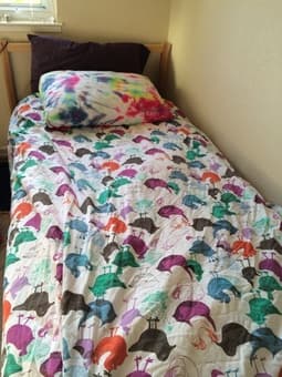 Selling twin sized bed (mattress + bed frame) for $35 1