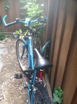 Bike for $100 3