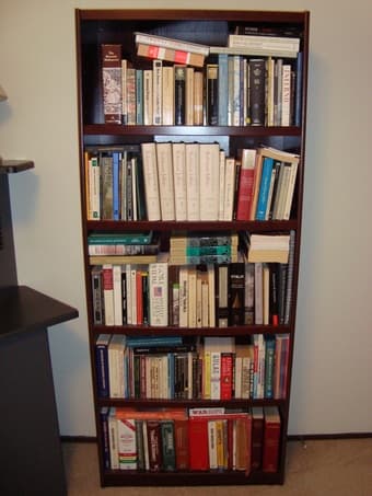 Medium sized bookcase ($25) 1