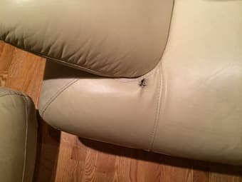 White Leather Couches - $50 3