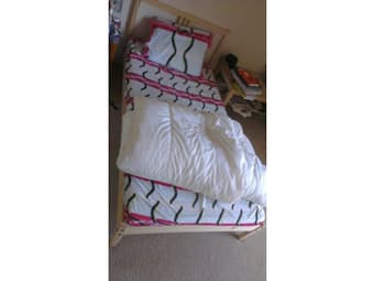 Bed Frame + Slatter + Pillow + Mattress + 2 table FREE for any student 1