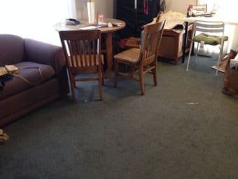 ***1BR in Spacious Rains Houses, Female, $900/month 斯坦福校园内1间卧室出租*** 2