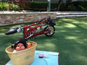 3-speed VeloMini Folding Electric Bicycle 2