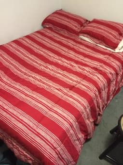 Full sized bed and box spring for sale. $275 OBO 1