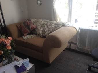 Comfy loveseat! $50 OBO 2