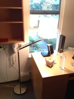 SWEET adjustable Samtid floor lamp--only $16! 1