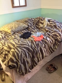 Mattress and Boxspring - $100 1