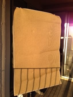 Couch and rug 1